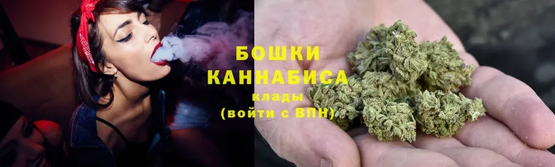 Шишки марихуана OG Kush  Бакал 